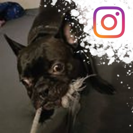 Instagram- mordic_bike4fun